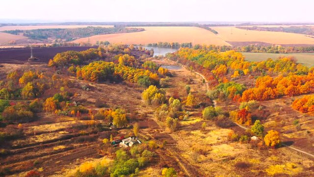 Autumn landscape. Arboretum them. Dokuchaev. 4K aerial photography.