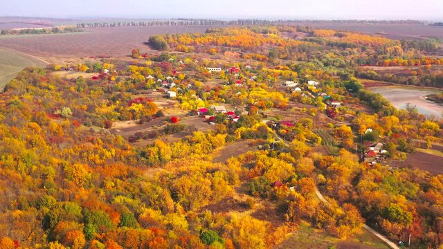 Autumn landscape. Arboretum them. Dokuchaev. 4K aerial photography.