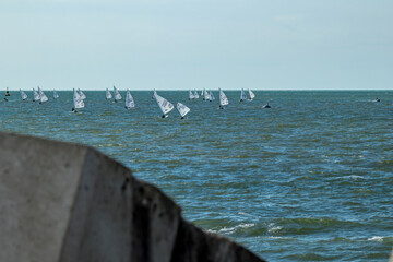 Several boats compete in the sea, trying to catch the strongest wind. Blue.