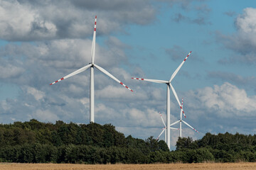 Fototapeta na wymiar Ecological wind farm. Windmills that produce electricity. Renewable energy sources.