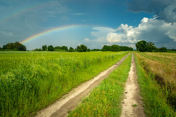 Dirt road through the fields and a rainbow in the sky