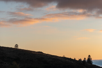 Silhouette of tree in the mountains at dusk.
