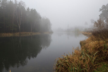 Naklejka na ściany i meble Autumn fog in the forest near Moscow