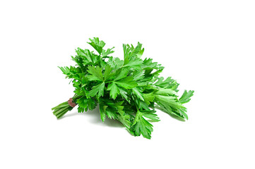 Parsley bunch isolated on white background