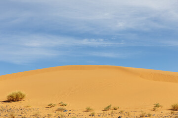 beautiful sand dune in the Sahara desert. Morocco