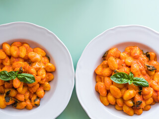 Italian potato gnocchi pasta with tomato sauce and mozzarella cheese