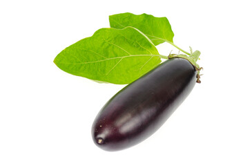 Ripe black purple eggplant with a green tail on a white background.