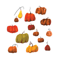 Set of Vector illustrations of hand-drawn pumpkins for the design of posters, books and sites