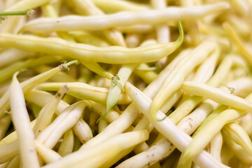 Background from yellow bean string. Close up