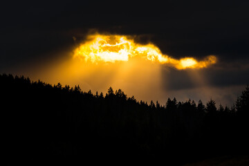 Sunbeams bursting out of dark clouds over a black forest. Hope.