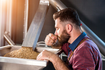 A young brewer in a leather apron controls the grinding of malt seeds in a mill at a modern brewery - obrazy, fototapety, plakaty