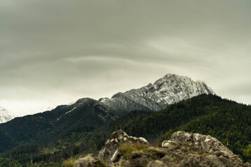 beautiful mountain peaks overgrown with greenery, incredible wildlife