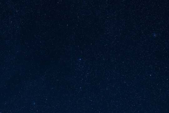 incredibly beautiful starry sky, amazing wildlife, incredible wildlife