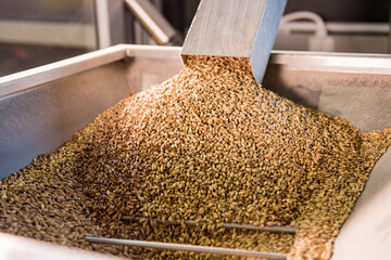 The technological process of grinding malt seeds at the mill - obrazy, fototapety, plakaty