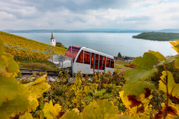 Cable car in the vineyards near the Biel lake - obrazy, fototapety, plakaty