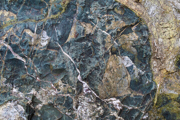 lichen on rock green diabase with a beautiful rock stone