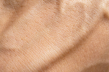 Skin texture ,veins