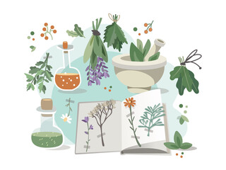 A set of plants, medicinal herbs, flowers, seeds, flower herbarium. Vector set.
