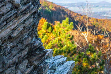 autumn in the mountains with rock face and foliage in background