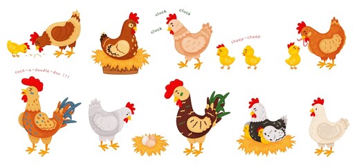 Fototapeta na wymiar Cartoon funny chickens, hens and roosters, cute chicks. Chicken on nest with eggs, little chick and mother hen, farm bird animals vector set. Parent bird feeding baby with worm, seed