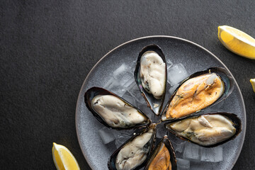 mussels freshly frozen on a plate with ice, on a dark background, copyspace. Expensive delicacy © Magneya Photography