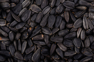background of ripe sunflower seeds macro photo
