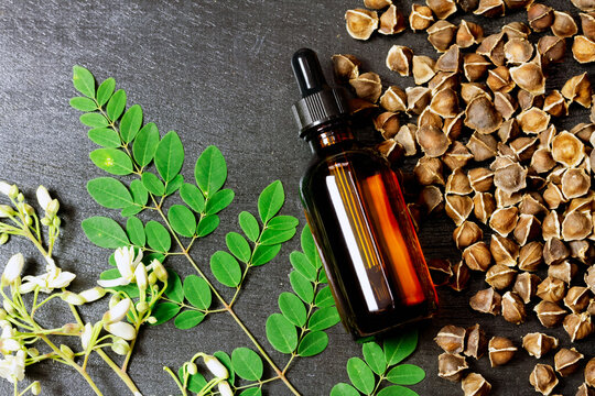 Oil of Moringa in bottle with green leaf, flower and seeds on black wooden background. Moringa oleifera tropical herb product concept. 