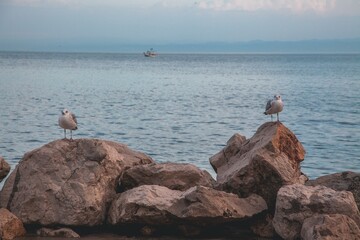 VIews of the city of Piran in Slovenia