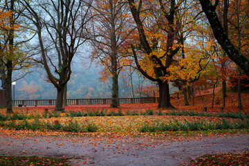 Schlosspark Heidelberg