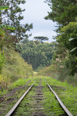 Obraz premium The train tracks in the middle of the Atlantic Forest forest in the city of Apiaí, São Paulo, Brazil.