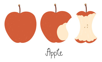 Illustration of an apple, bitten apple, apple core, and hand-drawn text - Apple. Cute flat vector illustration in nice colors. Isolated on white.