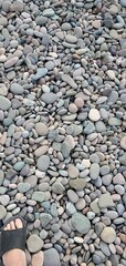 Pebble Beach west coast NS