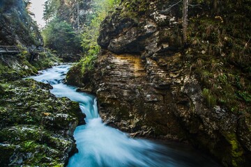 Vintgar Gorge (Soteska Vintgar) in Triglav National Park in Slovenia