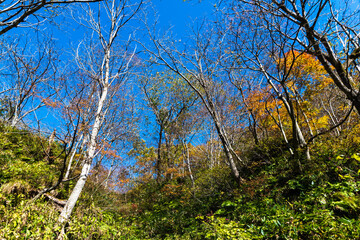 霜月　白山麓の風景