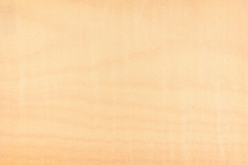 Obraz premium Empty wooden panel