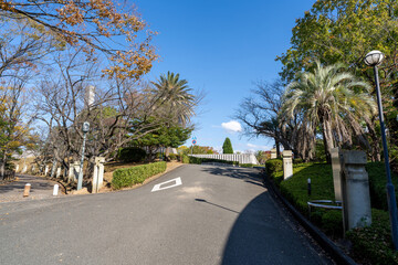手柄山中央公園