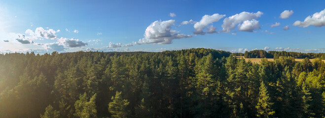 Blue sky panorama with clouds over tops of green trees. White fluffy clouds in blue sky. Background from clouds.