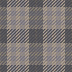 Seamless pattern of scottish tartan plaid. Repeatable background with check fabric texture. Vector backdrop striped textile print.