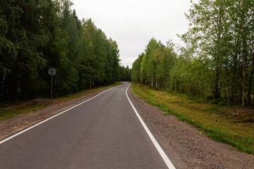 Fototapeta na wymiar natural background asphalt road through the forest