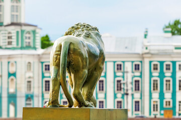 Saint Petersburg, Russia. Bronze lion at Dvortsovaya pier of the Admiralty Embankment Neva River, back view. Kunstkamera building as a background - obrazy, fototapety, plakaty