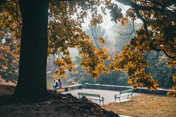 Views from around the streets of Ljubljana, Slovenia