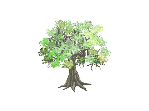 Abstract ancient tree vector illustrations
