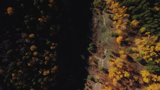Aerial view of the Shiryaevsky ravine in the Samarskaya Luka national park. Protected natural areas in the autumn season.