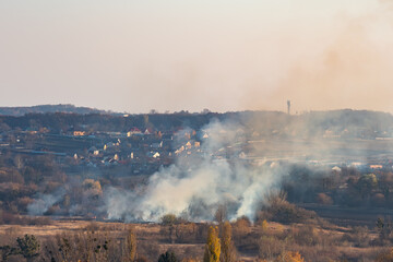 Fototapeta premium Fire of dry grass in a field outside the city