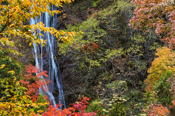奥秩父丸神の滝