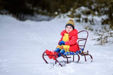 Fototapeta na wymiar Little girl in bright clothes sitting on a sleigh on a background of winter forest.