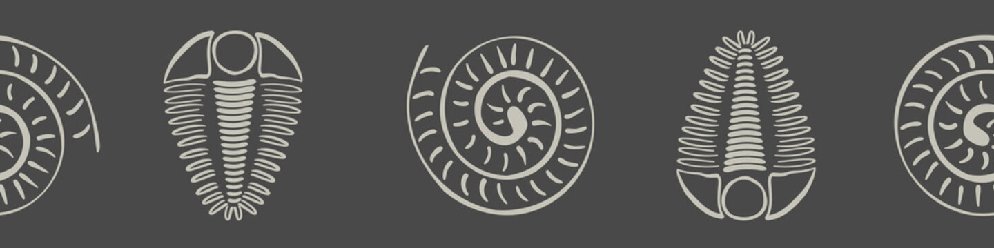 Ammonite trilobite vector seamless border. Hand drawn banner of spiral-form shell cephalopod and arthropod ribbed fossils. Brown off white backdrop.Extinct marine predators. For museum, edging, trim