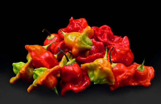 pile of chili peppers, capsicum baccatum or christmas bell chili, isolated on black background