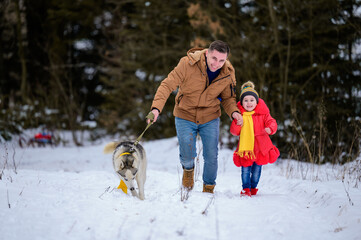 Fototapeta na wymiar Husky in a yellow scarf with the owner and his daughter, walking in the winter forest.