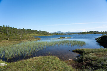 Lake in the mountains